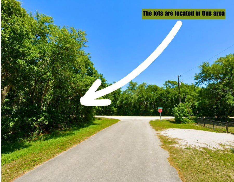 Photo of 466 Fletcher Avenue, Lake Placid, FL 33852 (MLS # TB8552539)