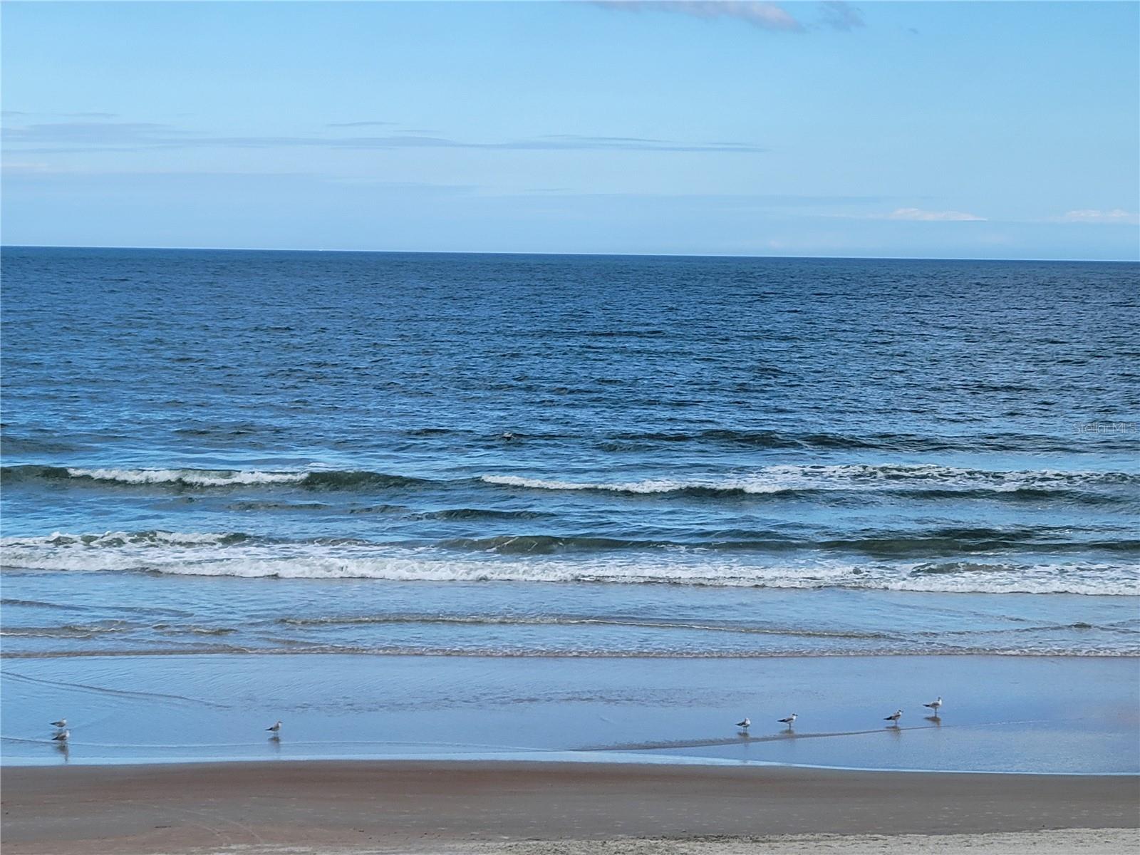 HAWAIIAN INN LC - Residential