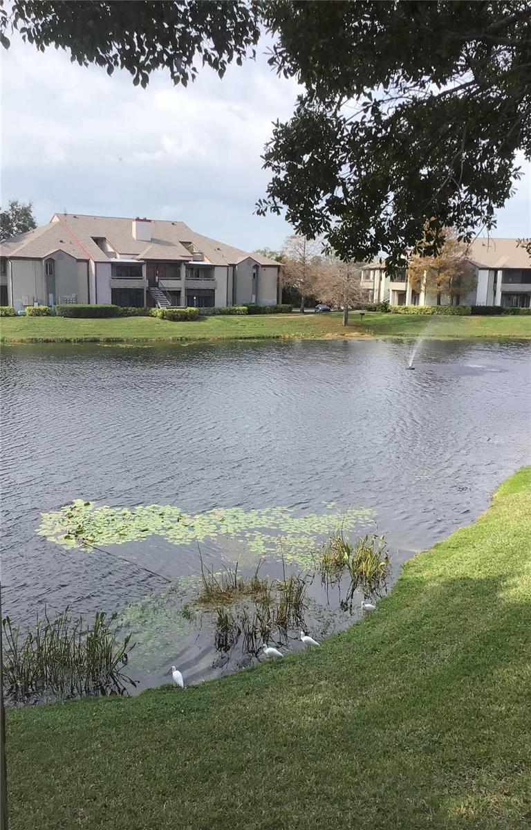 ITOPIA PRIVATE RESIDENCES CONDO - Residential