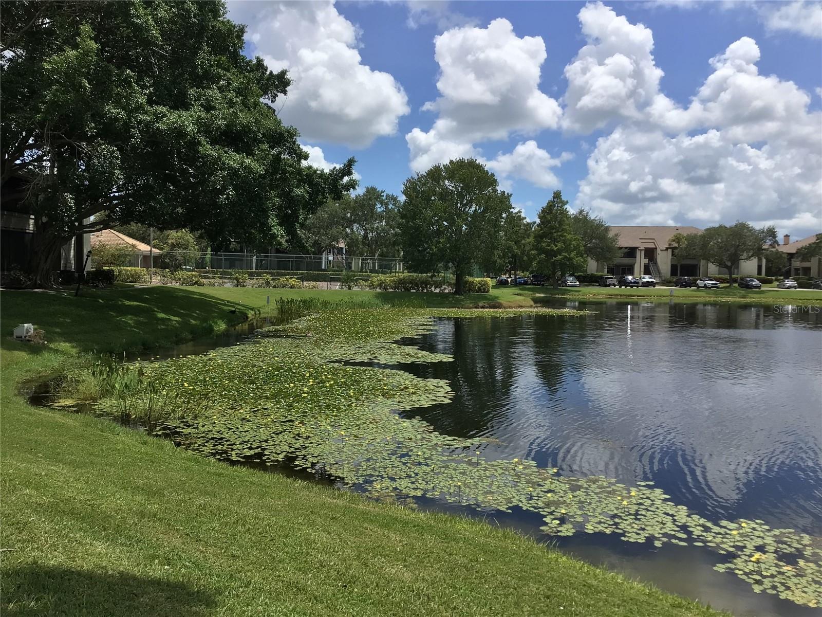 ITOPIA PRIVATE RESIDENCES CONDO - Residential