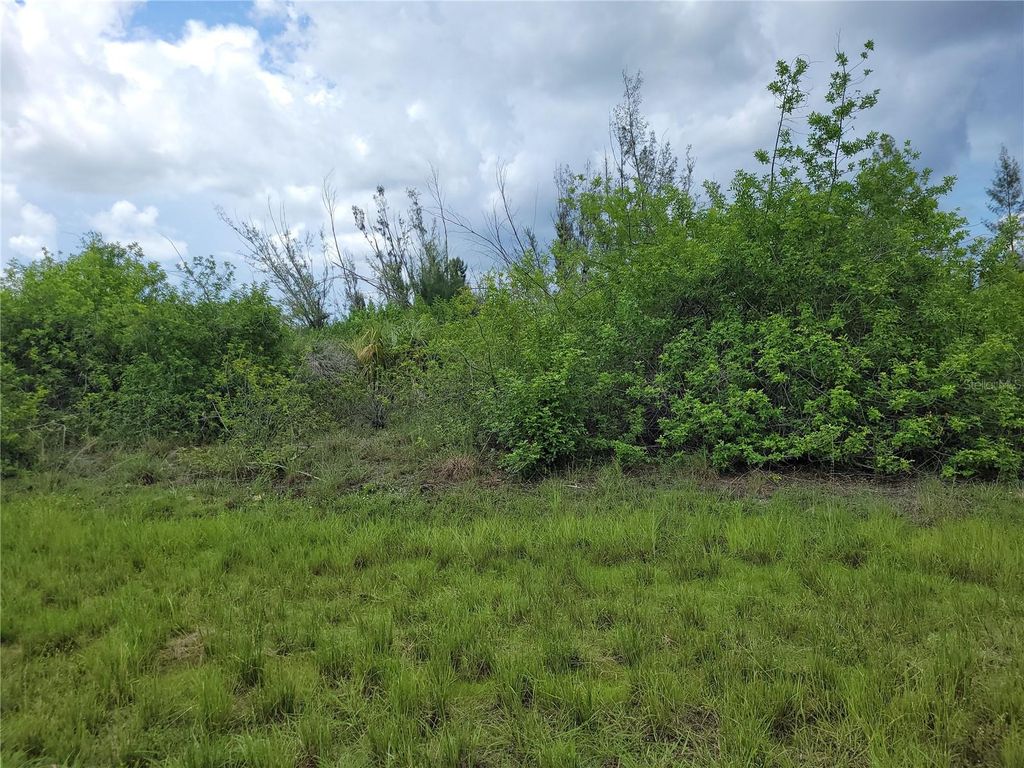 Photo of 10136 Amy Terrace, Port Charlotte, FL 33981 (MLS # D6137463)