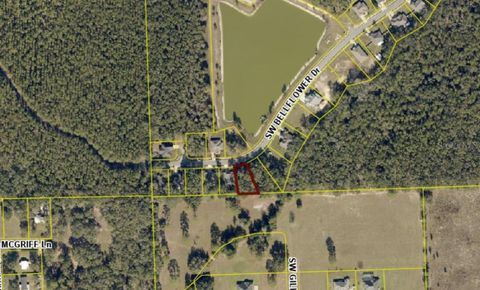 Photo of 593 SW Bellflower Drive, Lake City, FL 32024 (MLS # GC537914)