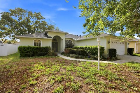 24644 LAUREL RIDGE DRIVE LUTZ FL 33559