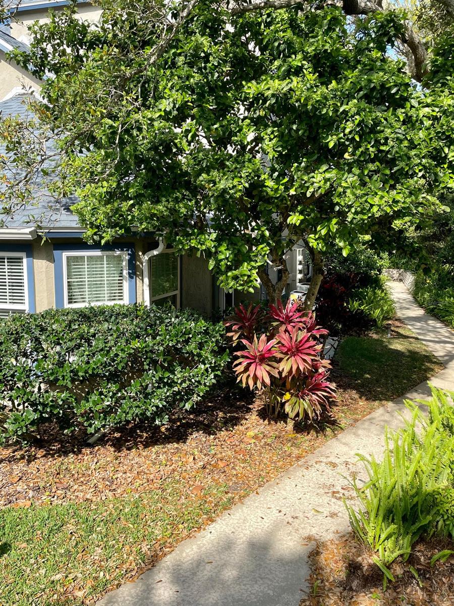 Sun Beach Club - Residential