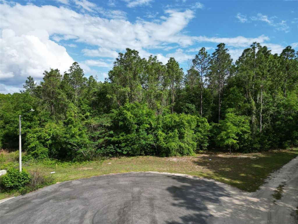 Photo of 0000 SE 119 Street, Belleview, FL 34420 (MLS # G5110507)