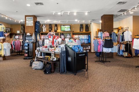 Tiny photo for 3255 N Pinelake Village Point, Lecanto, FL 34461 (MLS # O6356999)