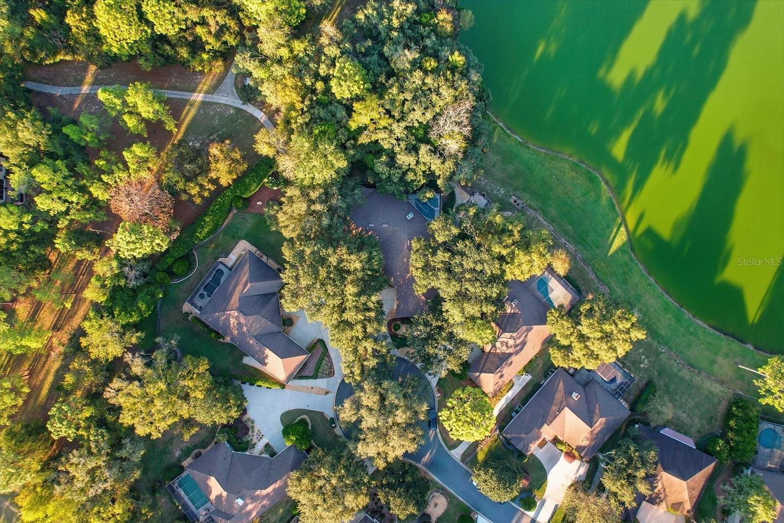 BLACK DIAMOND VILLAGE GOLF - Residential