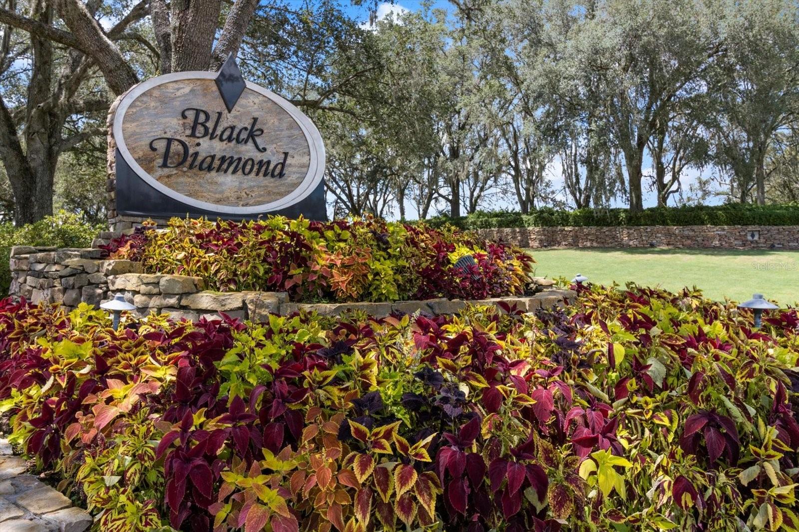 BLACK DIAMOND VILLAGE GOLF - Residential