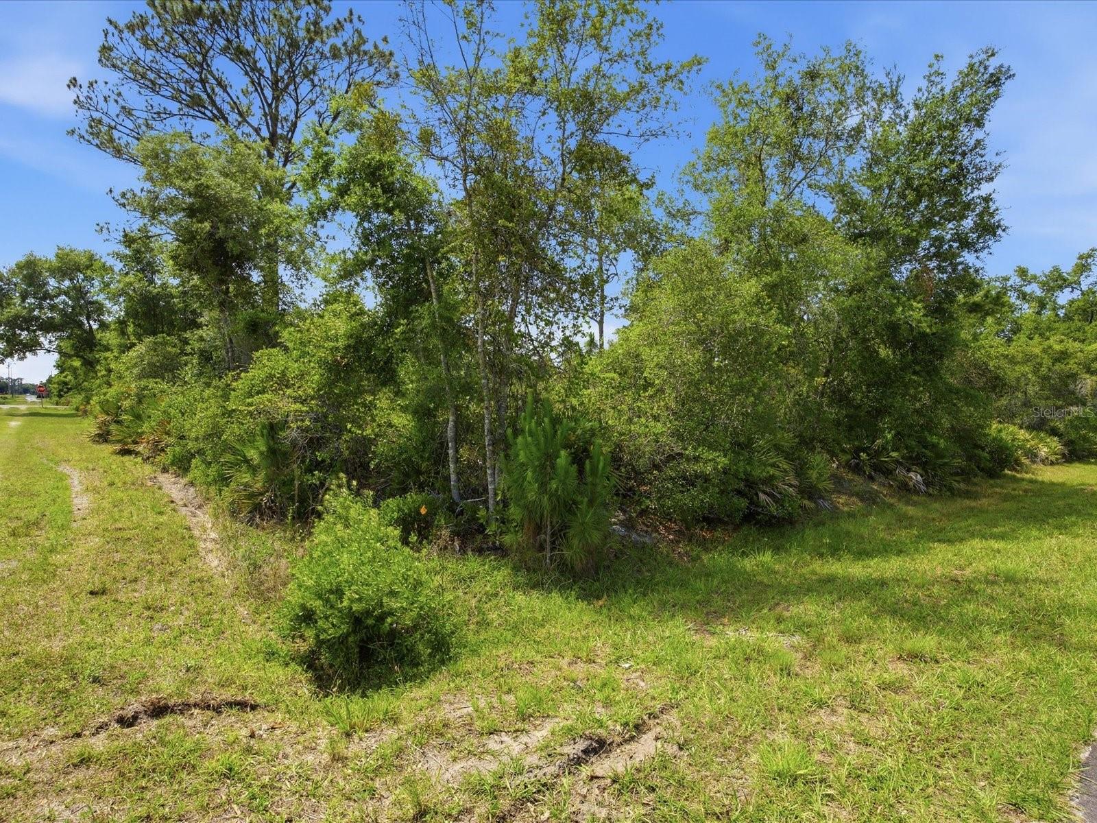 DAYTONA PARK ESTATES SEC B - Land