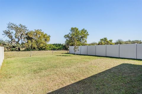 A home in WIMAUMA