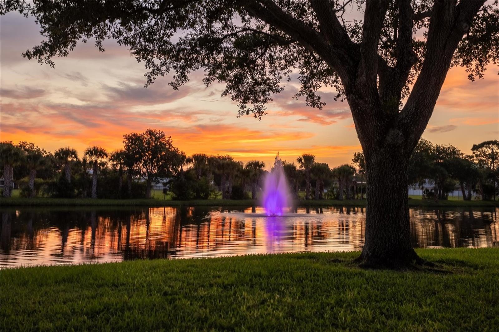 SPRINGWOOD VILLAS - Residential