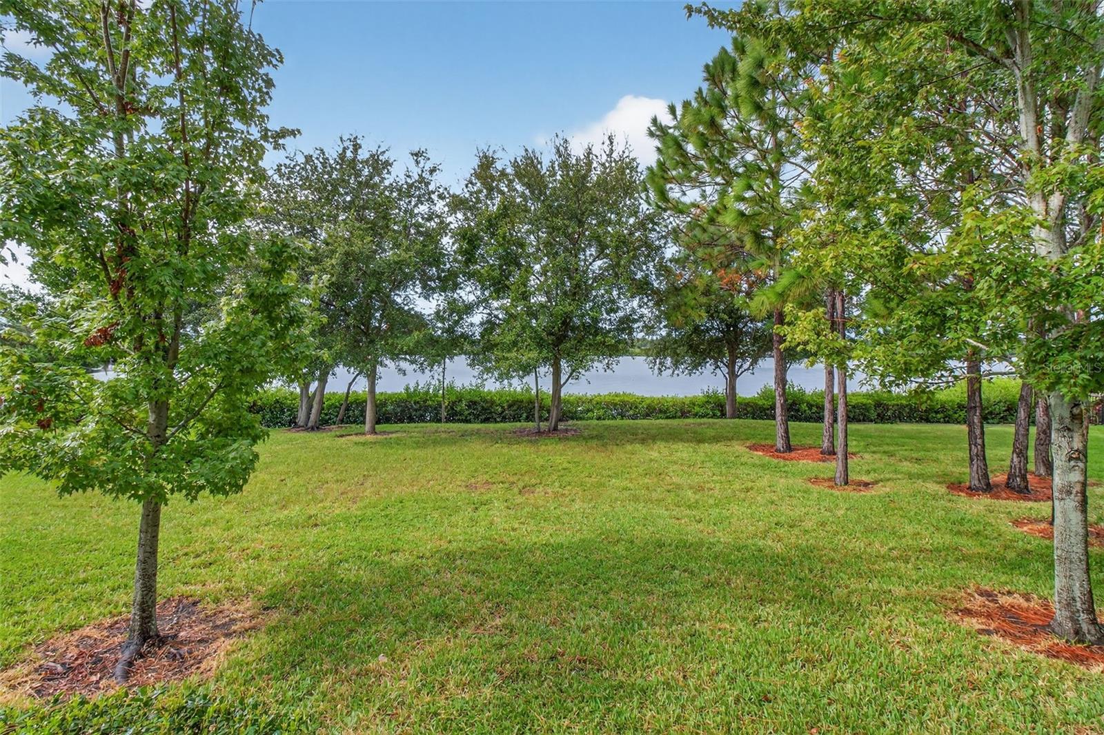 BAYSIDE TERRACE - Residential
