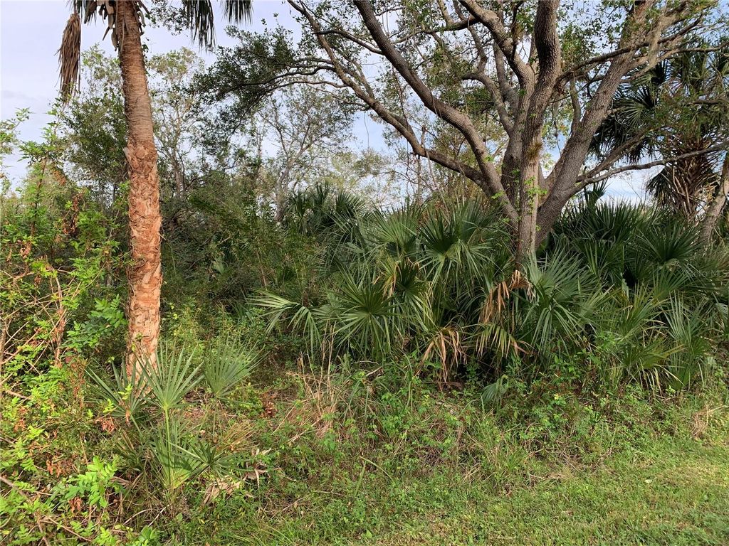 Photo of 1441 Candy Lane, Port Charlotte, FL 33953 (MLS # C7500703)