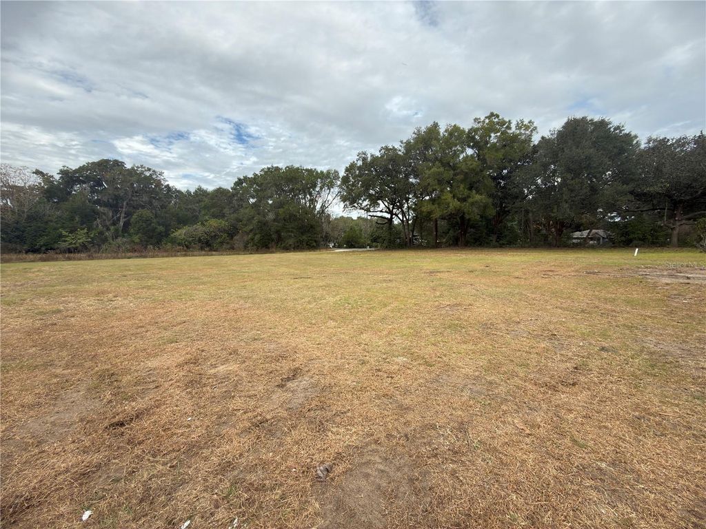 Photo of 3700 W Highway 316, Reddick, FL 32686 (MLS # O6365653)