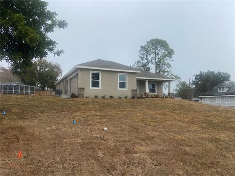 Photo of 787 E Central Avenue, Eagle Lake, FL 33839 (MLS # L4959401)