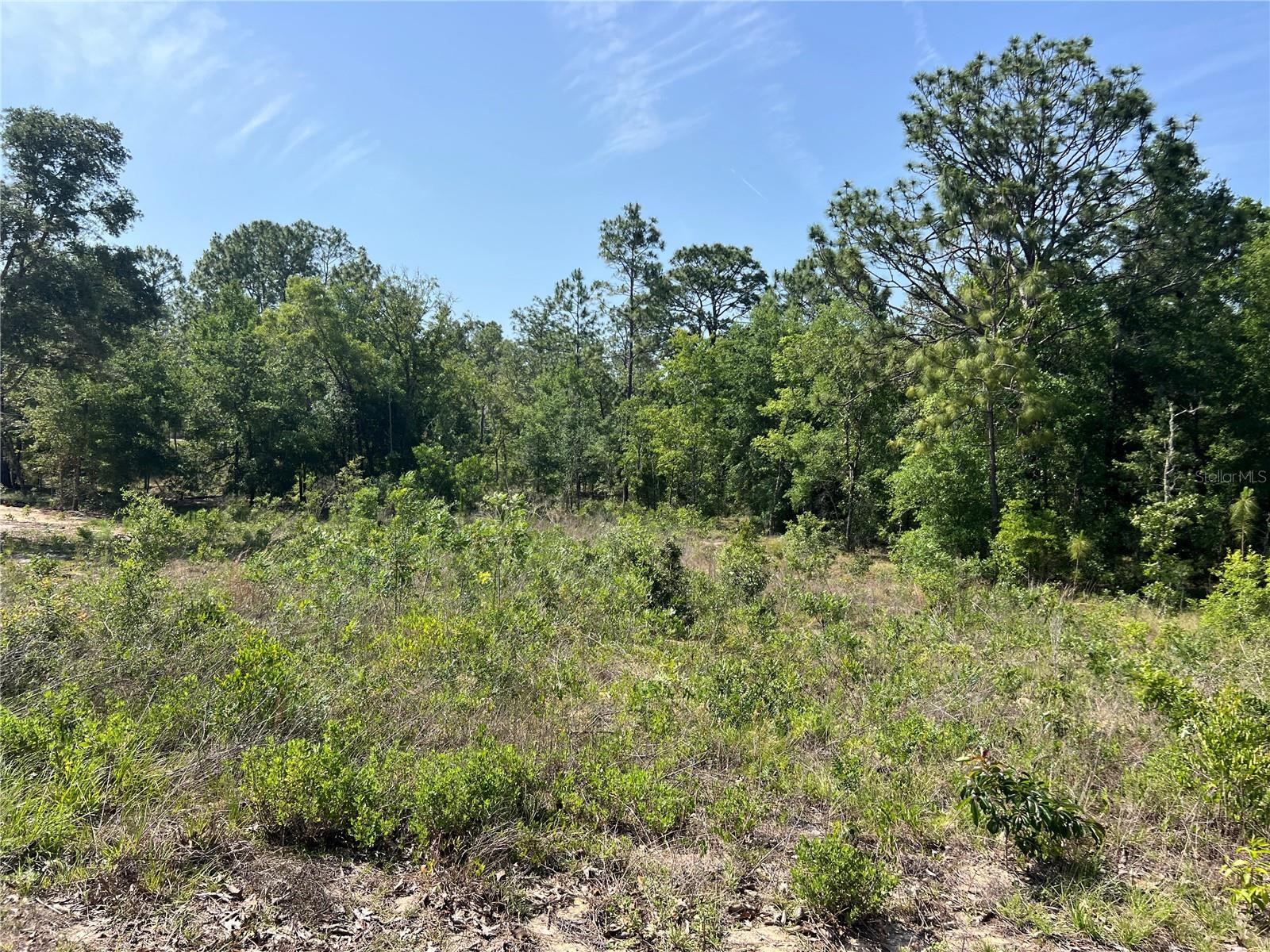 Listing image 8
