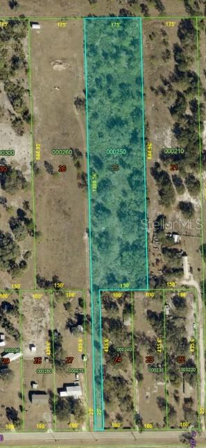 Photo of 1410 Otto Polk Road, Frostproof, FL 33843 (MLS # P4940258)