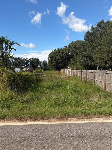Photo of 1410 Otto Polk Road, Frostproof, FL 33843 (MLS # P4940258)
