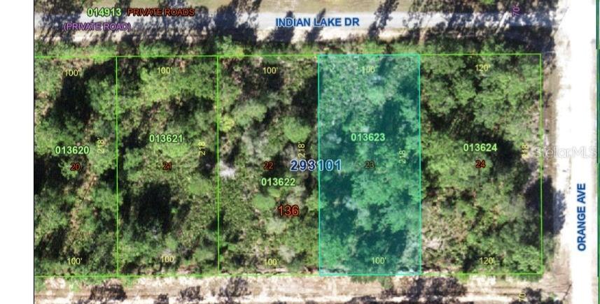Build your dream home in the desirable community of Indian Lake Estates! This beautiful lot is ready for your custom home, with access to a variety of amenities including an 18-hole golf course, tennis and basketball courts, community pool, clubhouse, and retail shops. Enjoy the peaceful surroundings and active lifestyle this community offers. Buyer to verify all measurements and dimensions. Seller also owns Lot 21 – both lots available for sale.