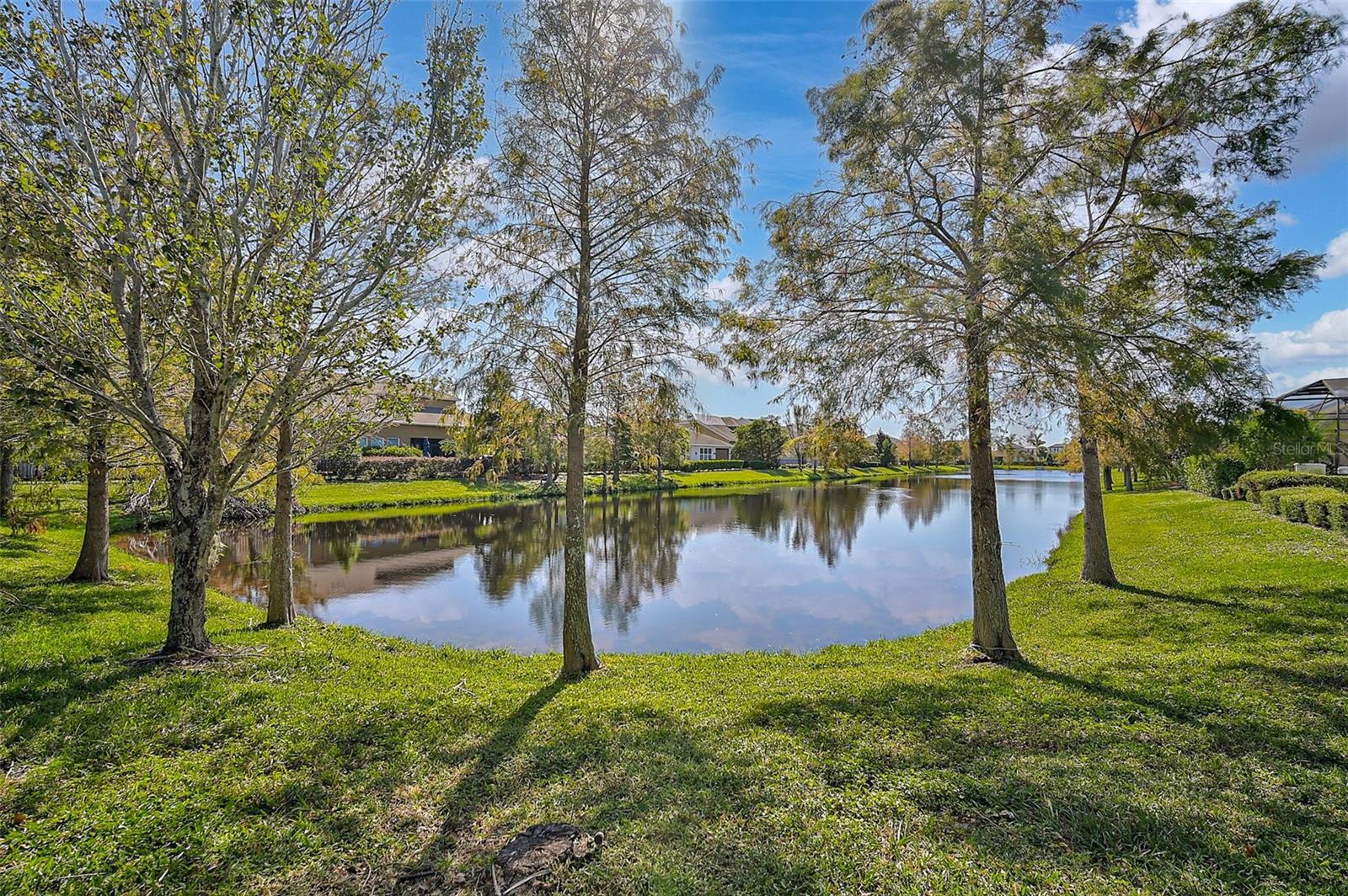 WHITAKER PARK - Residential