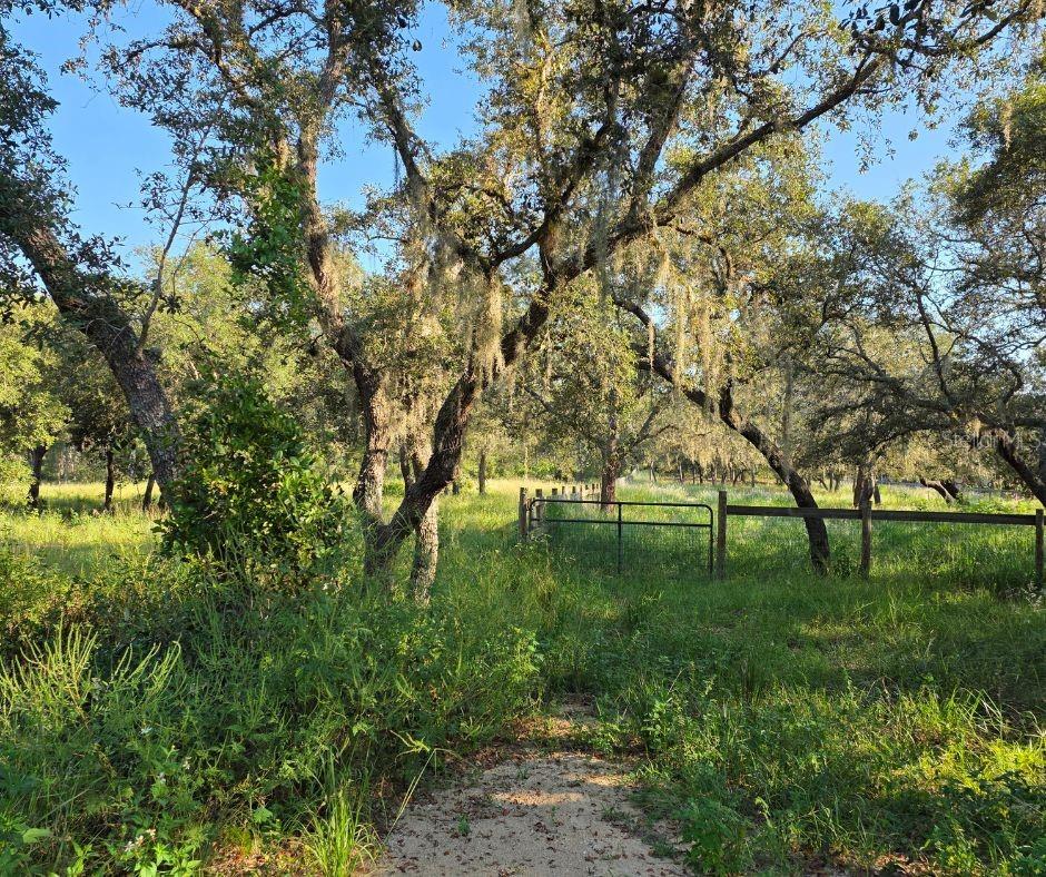 Bring your vision to life on this private expansive 9.3-acre property with residential zoning and county water already on site. Imagine the freedom of designing your own private retreat—plenty of space for a custom home, a workshop, gardens, or even a small hobby farm. With room to spread out, you can enjoy peaceful country living while still being close to everyday conveniences. This rare opportunity gives you the canvas to create the lifestyle you’ve been dreaming of, all on your very own land.