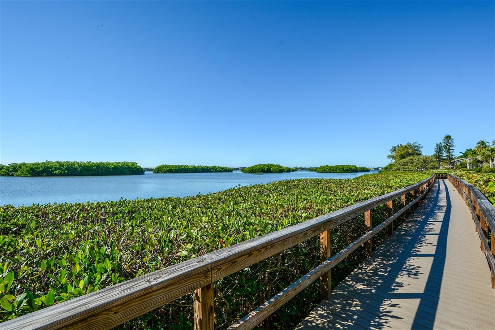 PELICAN COVE XVI - Residential