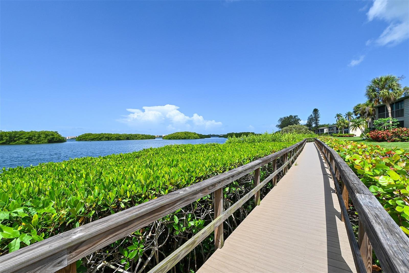 PELICAN COVE XVI - Residential