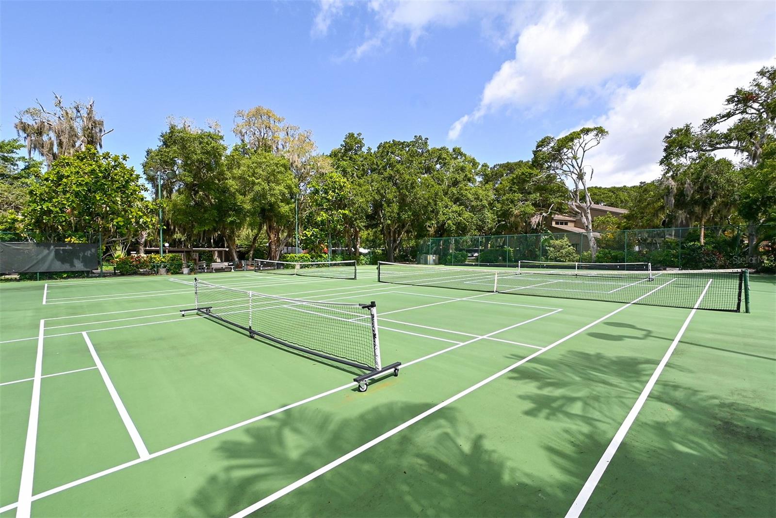 PELICAN COVE XVI - Residential