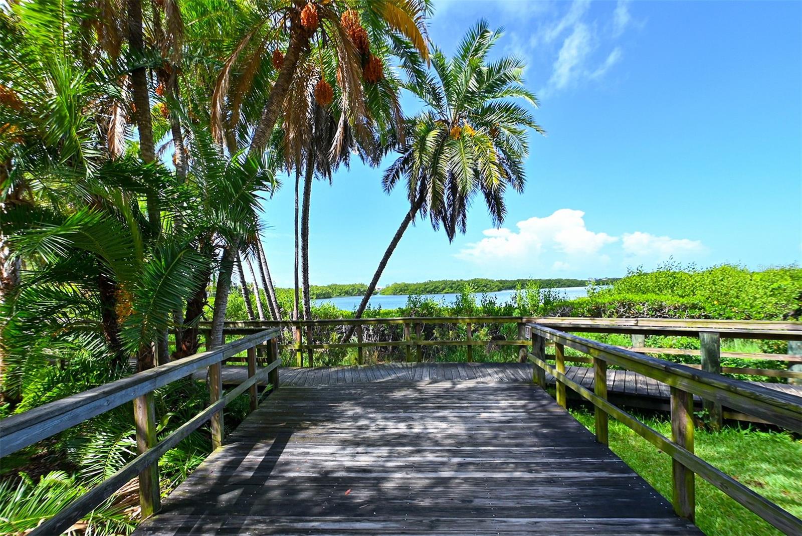 PELICAN COVE XVI - Residential