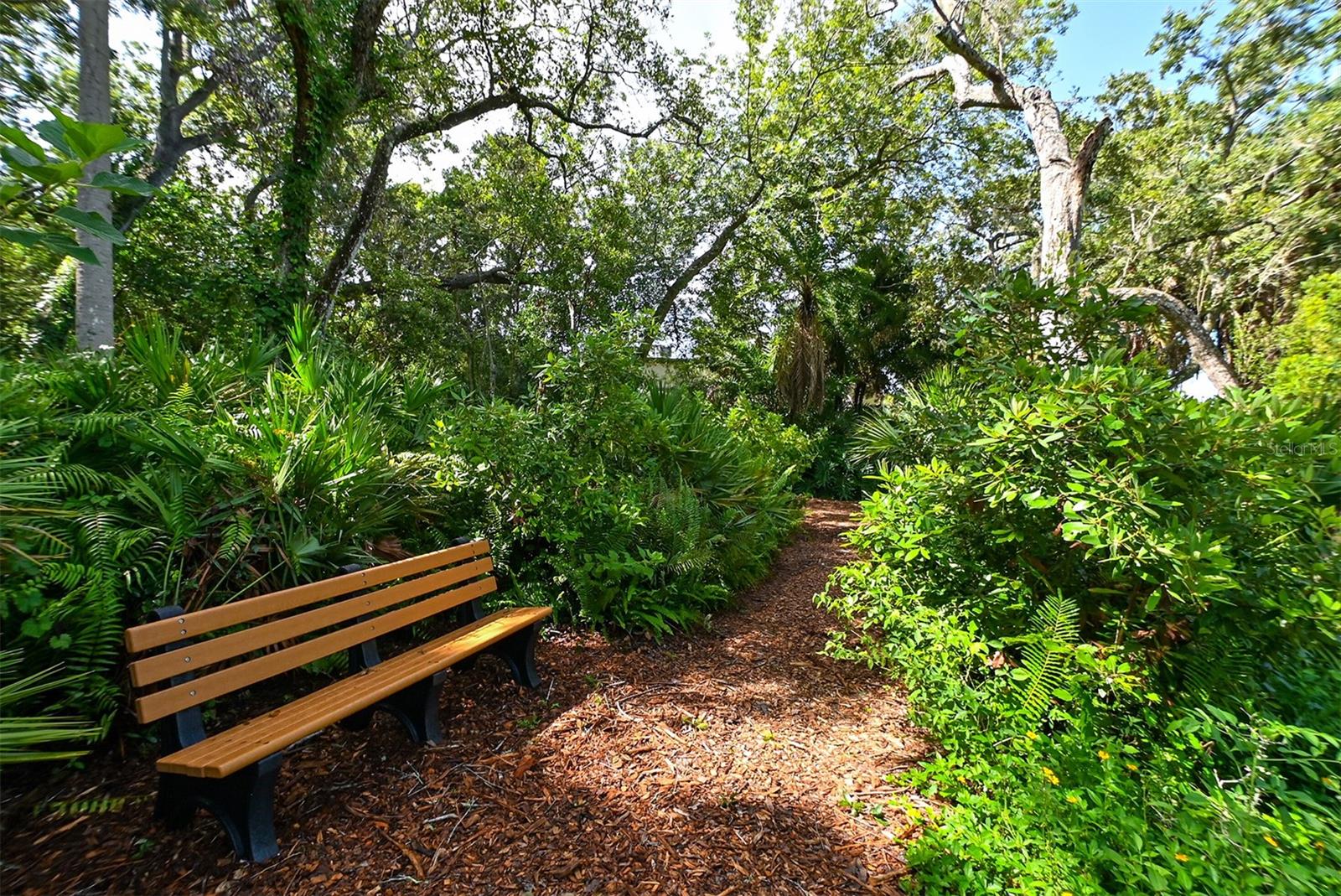 PELICAN COVE XVI - Residential