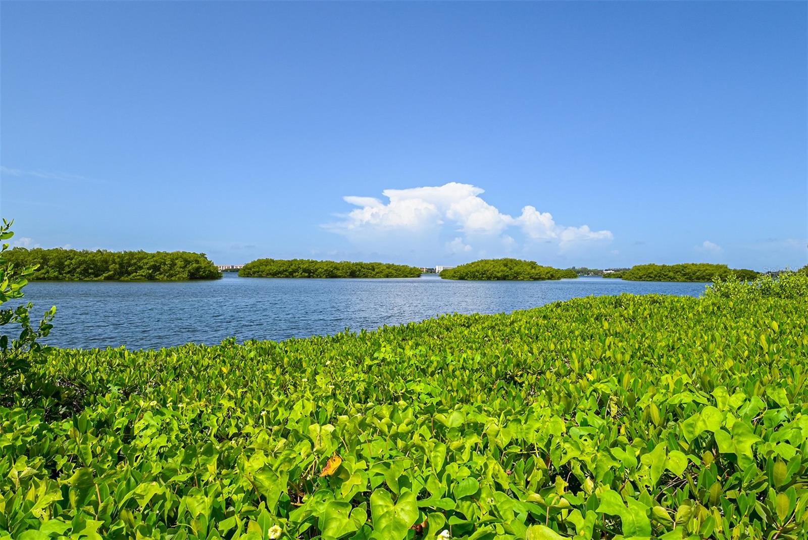 PELICAN COVE XVI - Residential