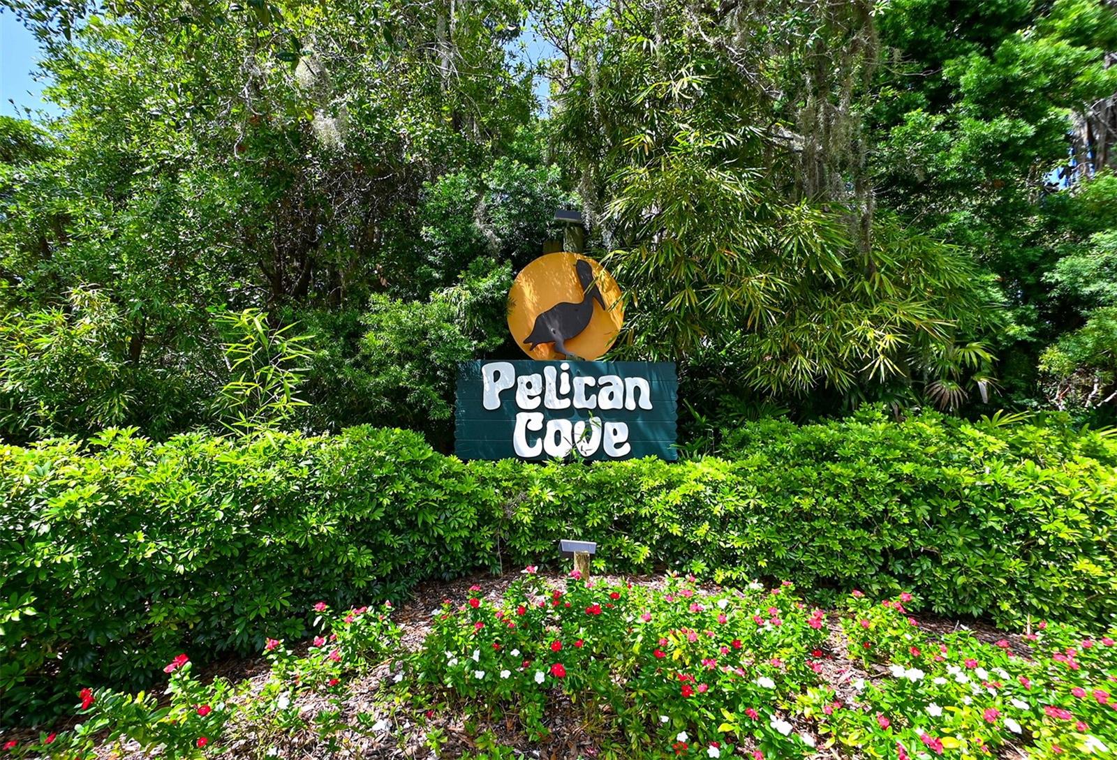 PELICAN COVE XVI - Residential