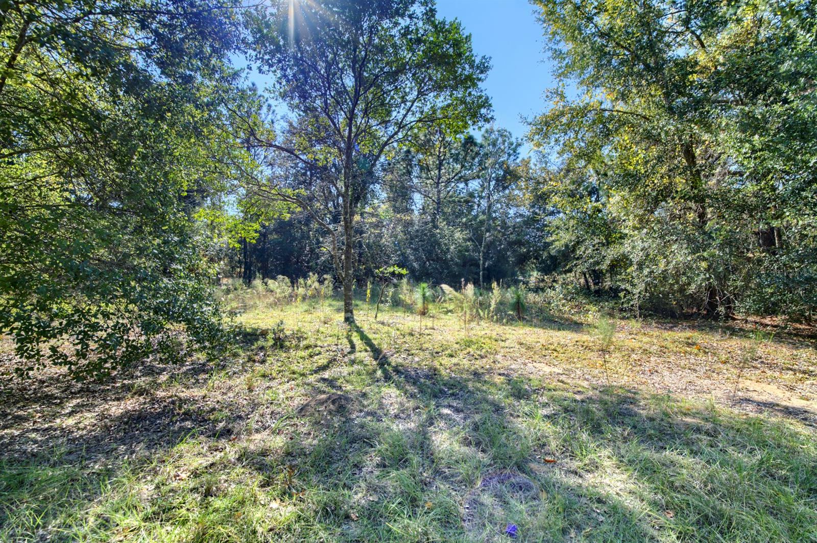 INVERNESS ACRES UNIT 02 AKA INVERNESS VILLAGE - Land