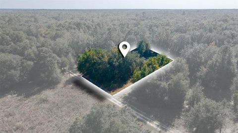 2215 ADAMS STREET INVERNESS FL 34453