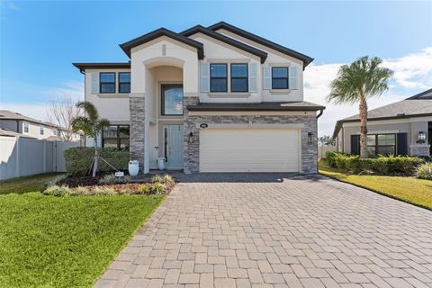 19484 BLOSSOM VINE LANE LUTZ FL 33558