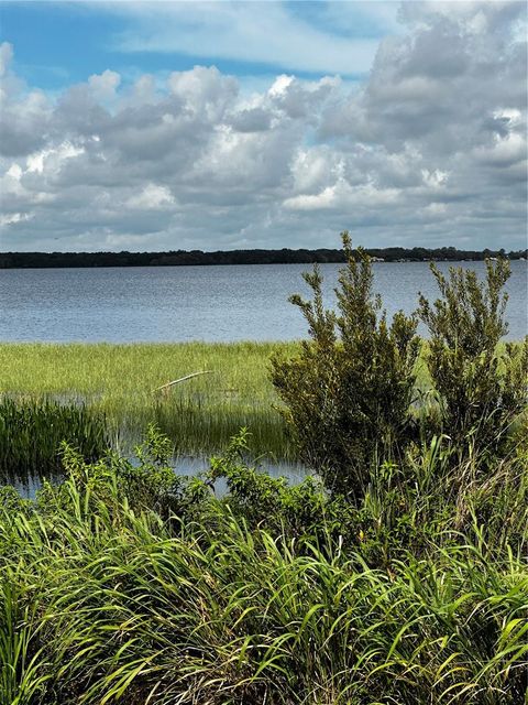 A home in MINNEOLA