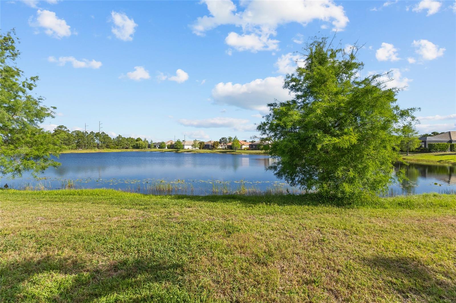 GRAND PALM PH 1B - Residential