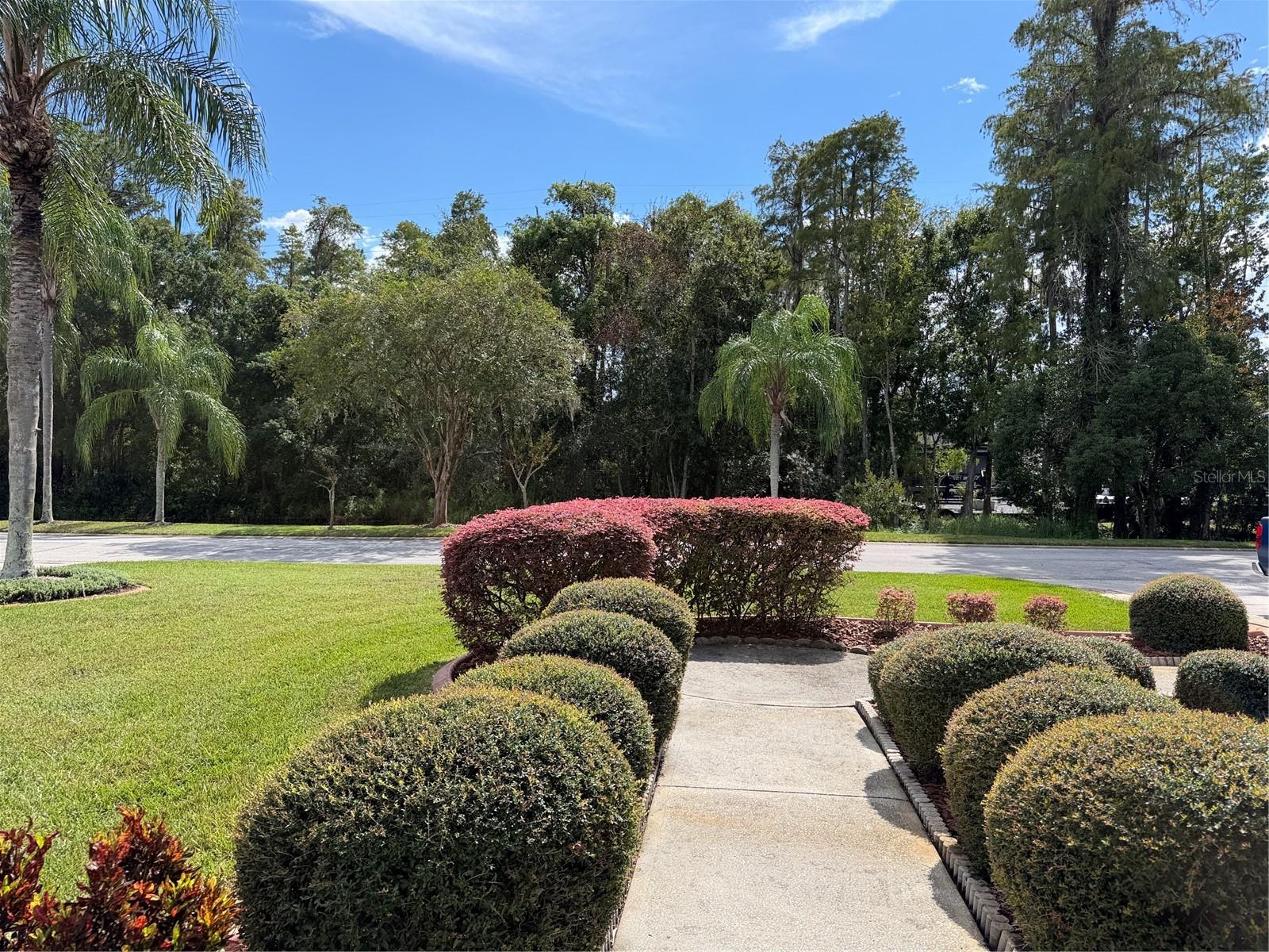 2311 OASIS DRIVE