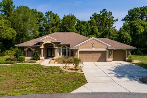16 DAHOON COURT N HOMOSASSA FL 34446