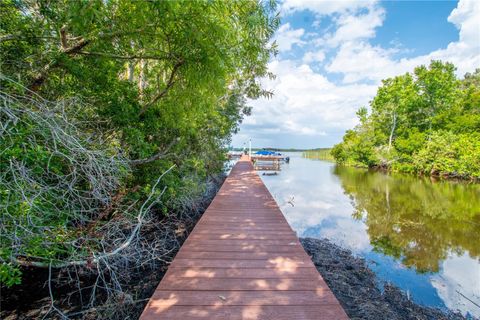 A home in PALM HARBOR