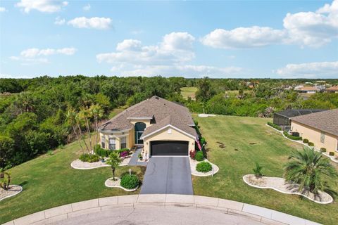Photo of 1351 Misty Greens Drive, Sun City Center, FL 33573 (MLS # TB8496370)