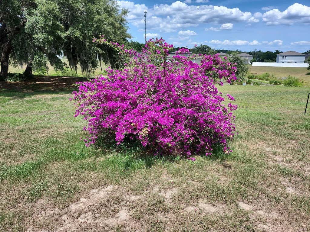 Photo of 15409 Ivory Gull Lane, Mascotte, FL 34753 (MLS # G5116893)