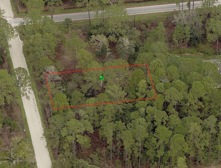 Wouldn't you love to build your dream home in Daytona Park Estates on a beautiful lot? Imagine living minutes from downtown Deland America's Main Street Winner! or Just a short drive to the Daytona International Speedway, Daytona Beach, shopping, restaurants and more. Get ready to live your dream!; Cleared: No