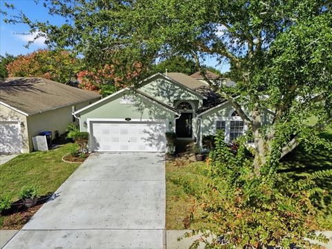 1299 MACON DRIVE TITUSVILLE FL 32780