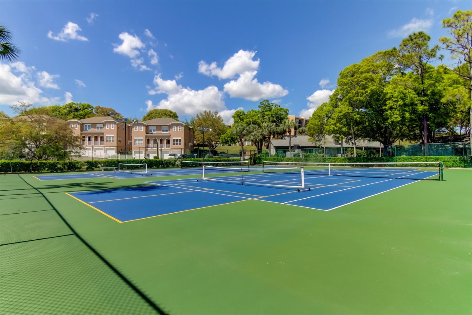 LAKE TARPON SAIL & TENNIS CLUB - Residential Lease