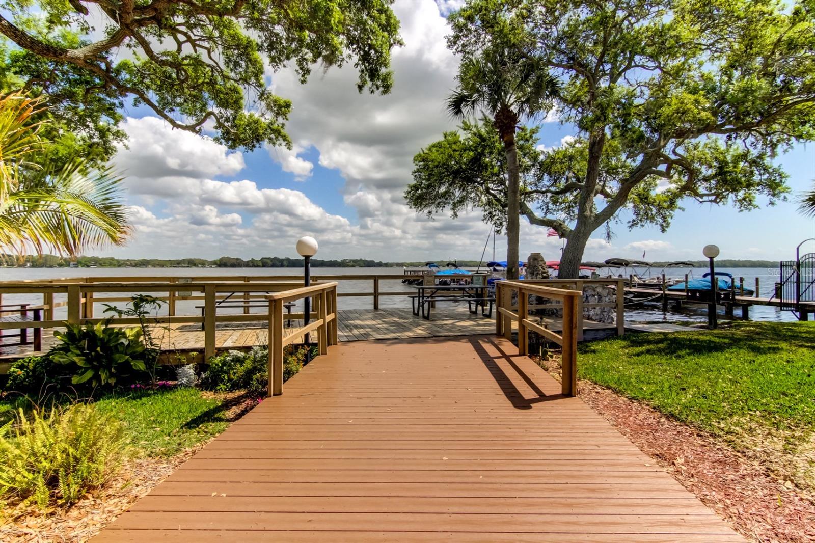 LAKE TARPON SAIL & TENNIS CLUB - Residential Lease