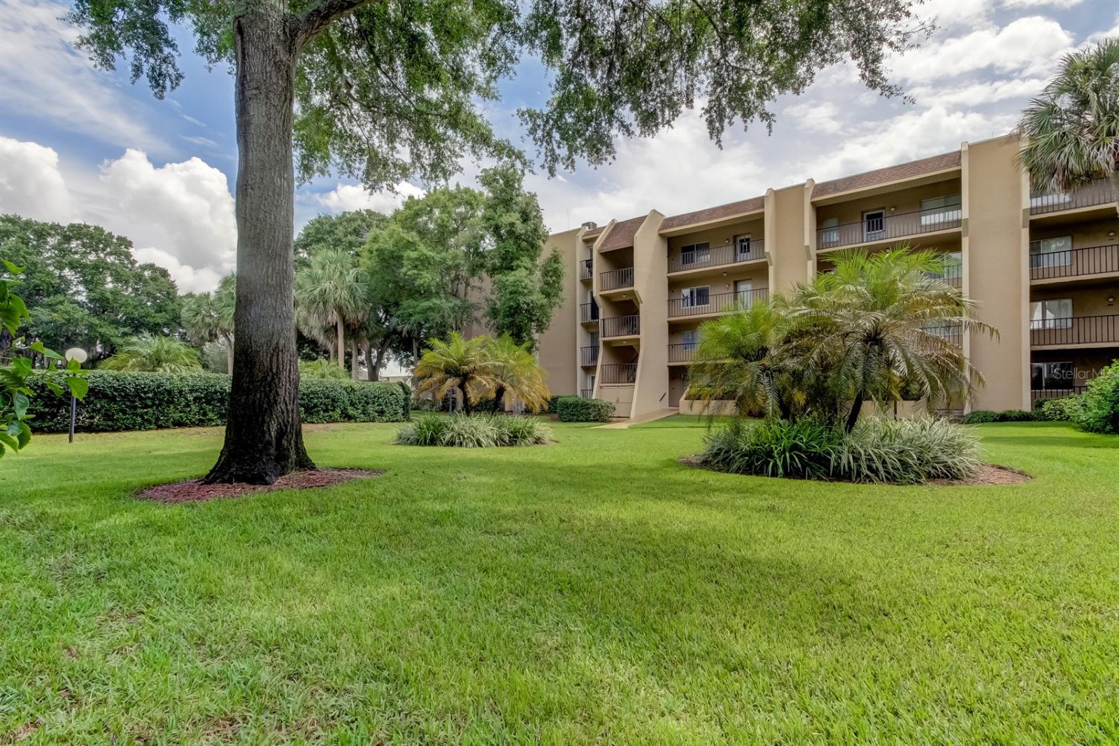 LAKE TARPON SAIL & TENNIS CLUB - Residential Lease