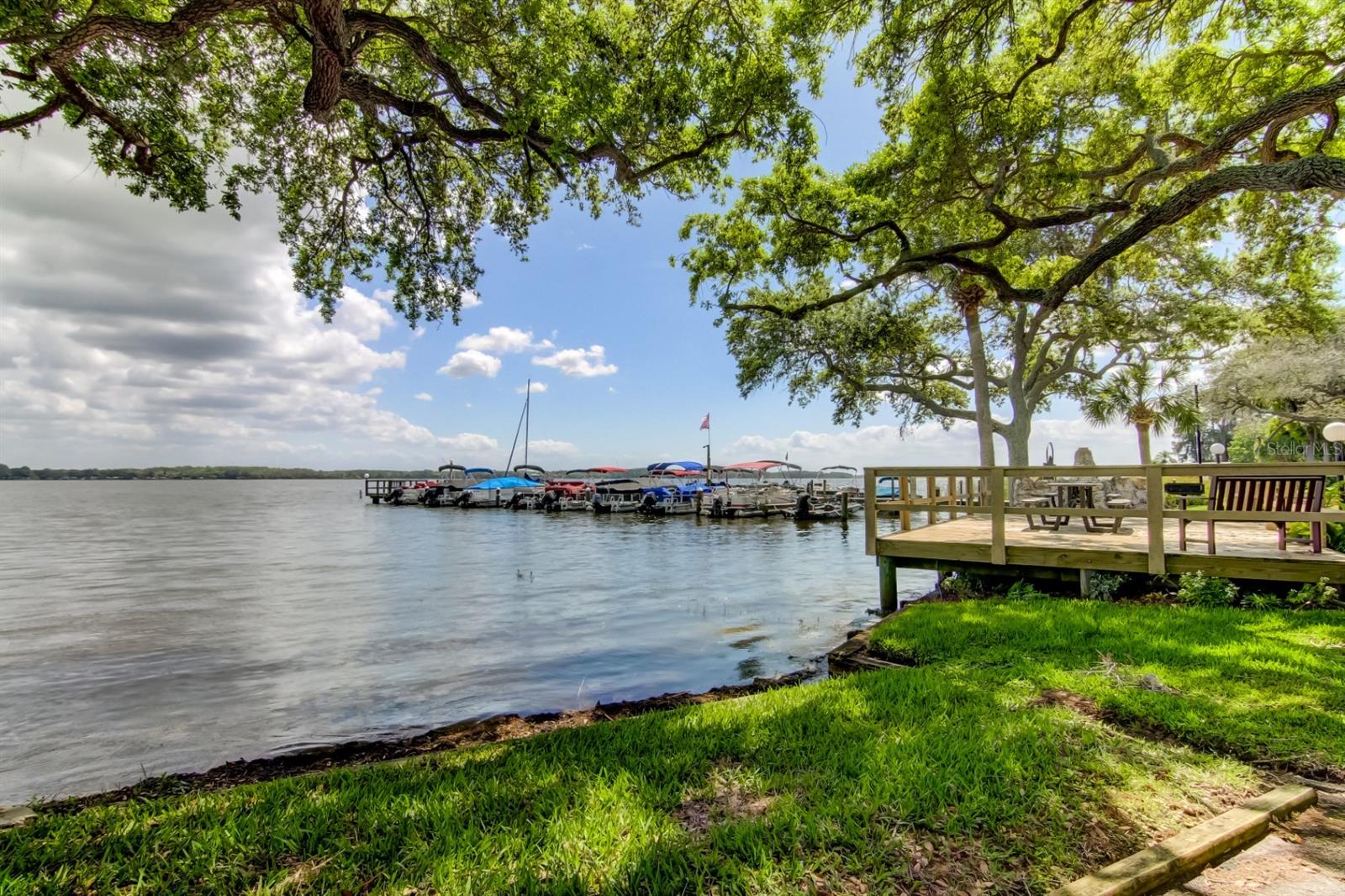 LAKE TARPON SAIL & TENNIS CLUB - Residential Lease