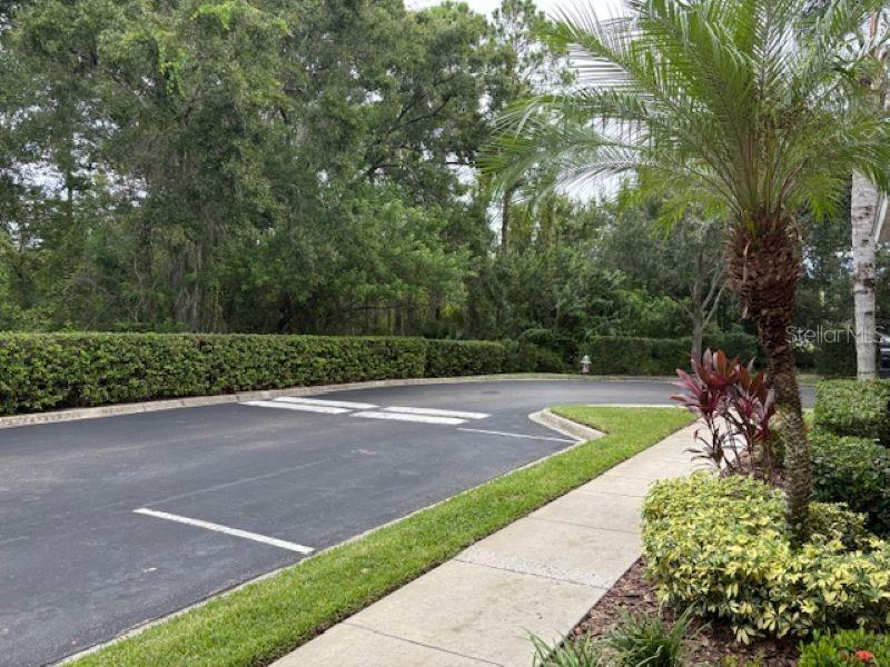 HAMPTON LAKES AT MAIN STREET - Residential