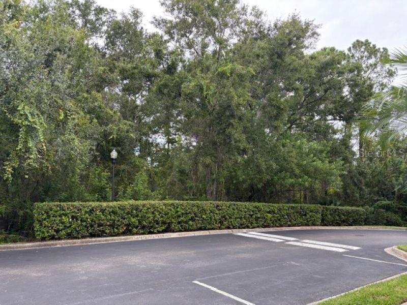 HAMPTON LAKES AT MAIN STREET - Residential